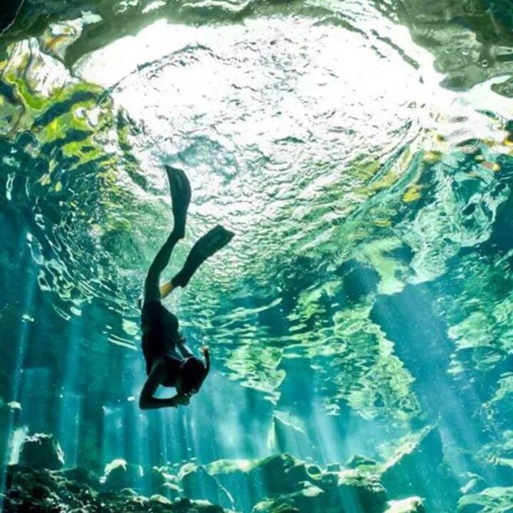 Meet your Posher, Gina